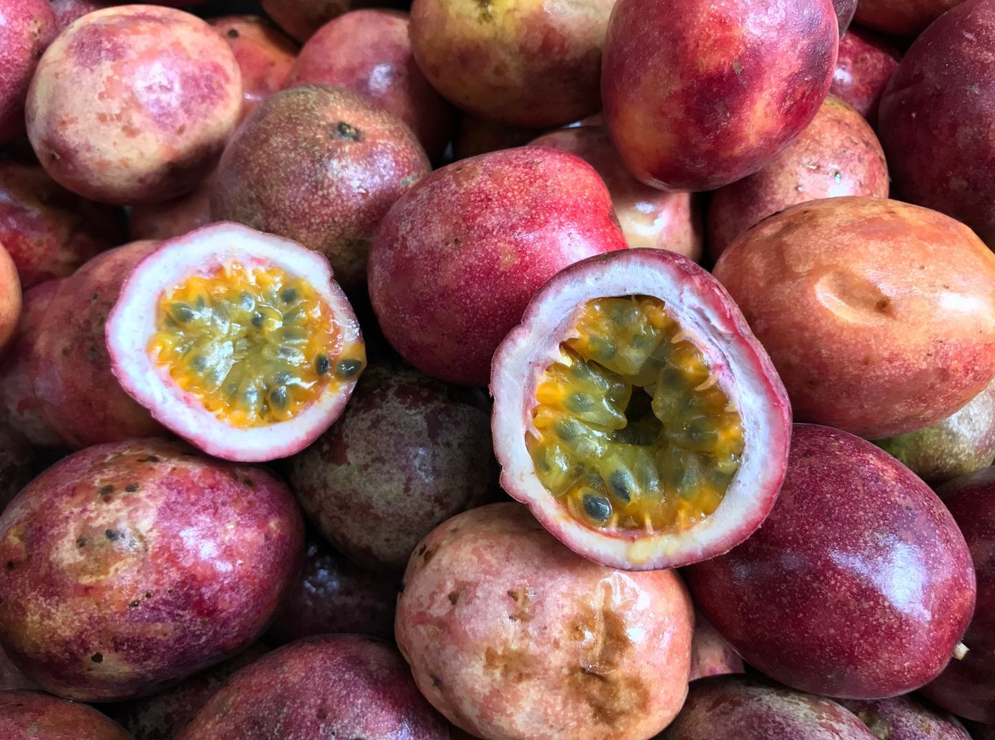 fruta de la pasión morada.jpg